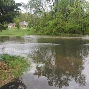 Meet your Posher, Guillermo